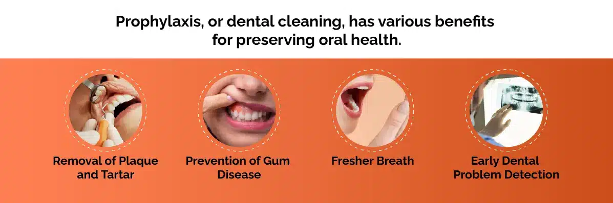 
Prophylaxis, or dental cleaning